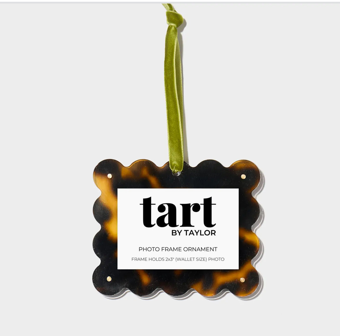 Tortoise frame ornament