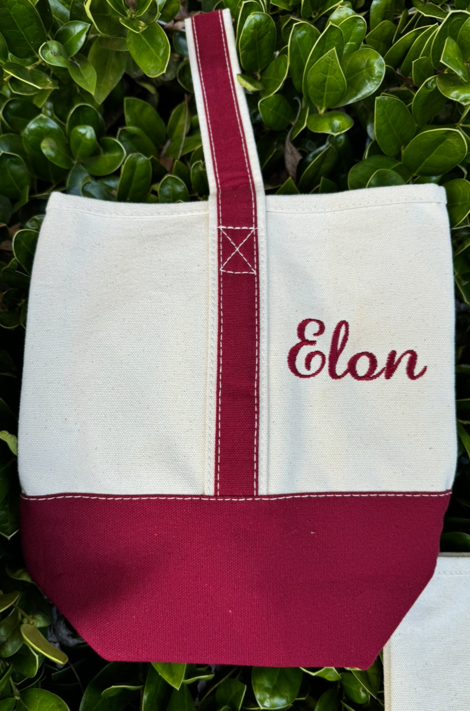 Two bottle wine tote - Elon